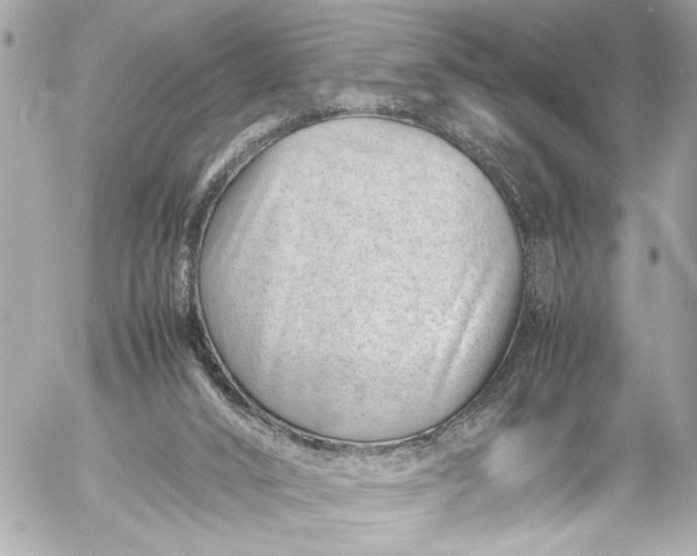 X0000054470016200508191739