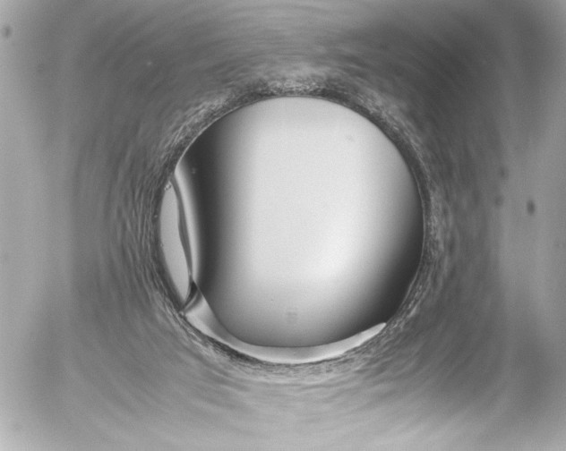 X0000054470017200508191739