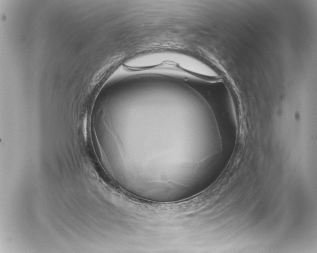 X0000054470019200508191739