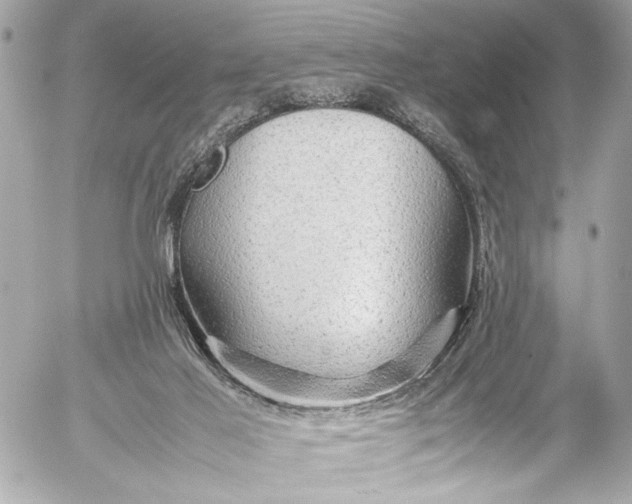 X0000054470021200508191739