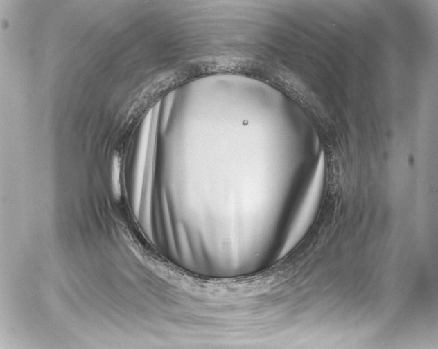 X0000054470022200508191739