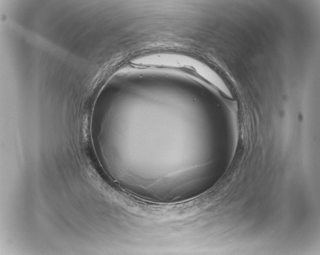 X0000054470023200508191739