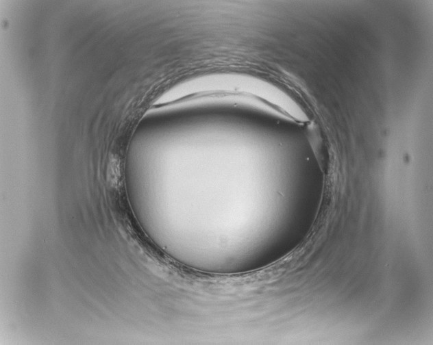 X0000054470025200508191739