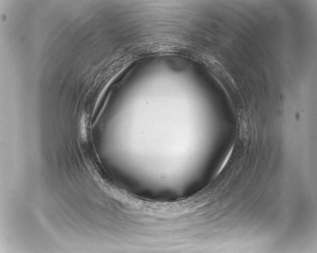 X0000054470026200508191739