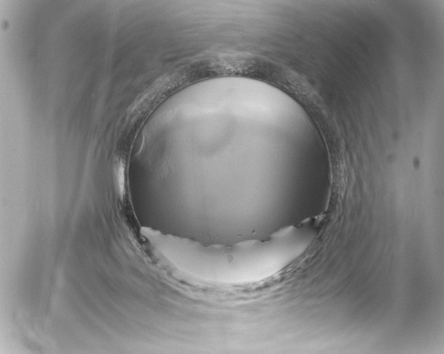 X0000054470027200508191739