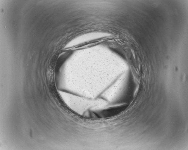 X0000054470029200508191739