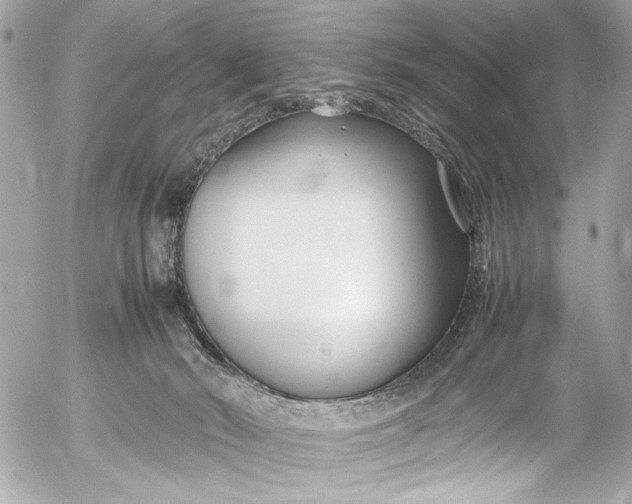 X0000054470030200508191739