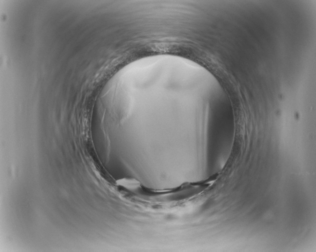 X0000054470031200508191739