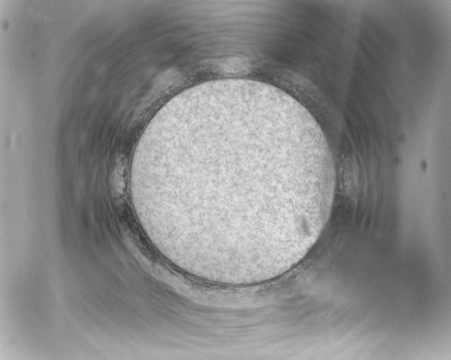 X0000054470032200508191739