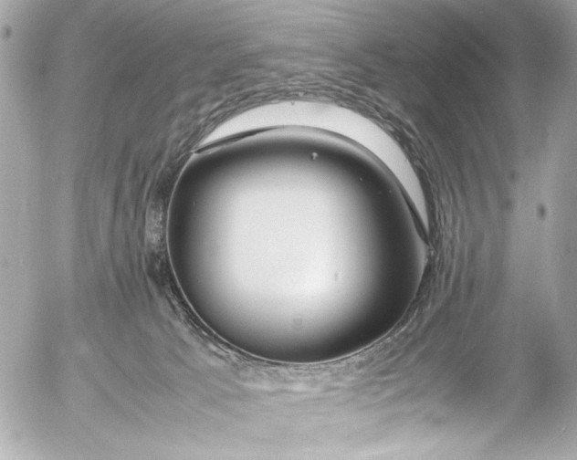 X0000054470033200508191739