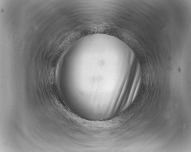 X0000054470034200508191739