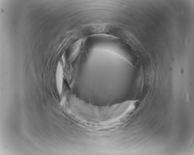 X0000054470035200508191739