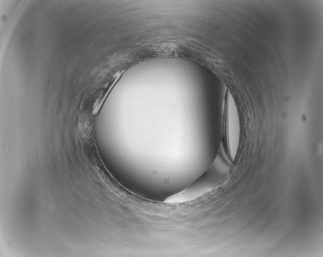 X0000054470037200508191739