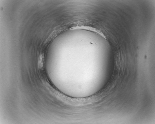 X0000054470038200508191739