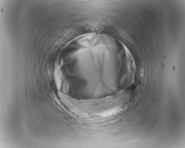 X0000054470039200508191739