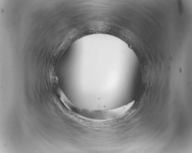 X0000054470040200508191739