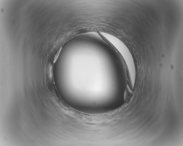 X0000054470041200508191739