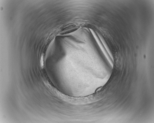 X0000054470042200508191739