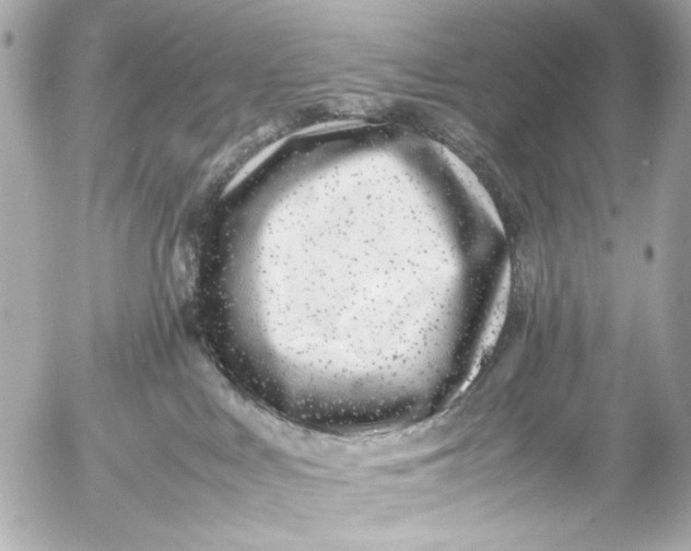 X0000054470043200508191739