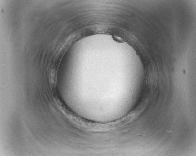 X0000054470044200508191739