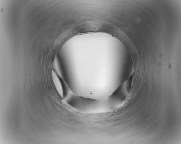 X0000054470045200508191739