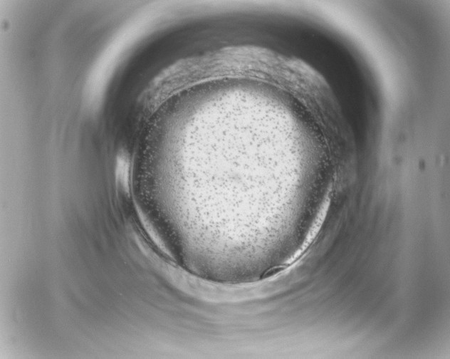 X0000054470047200508191739