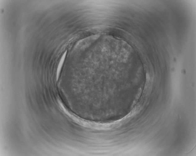 X0000054470048200508191739