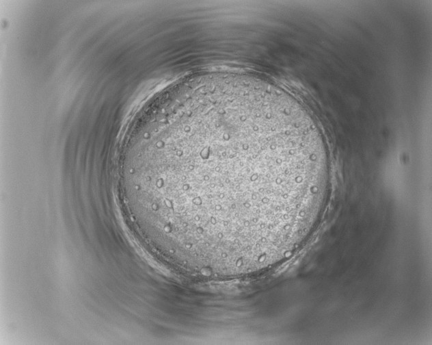 X0000054470049200508191738