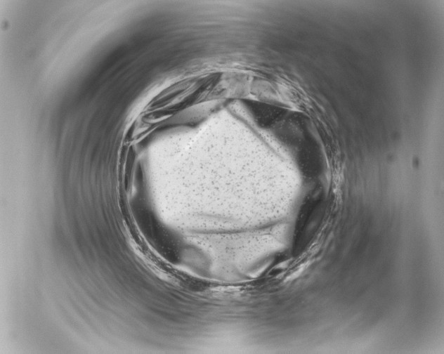 X0000054470052200508191738