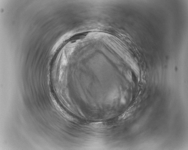 X0000054470054200508191738