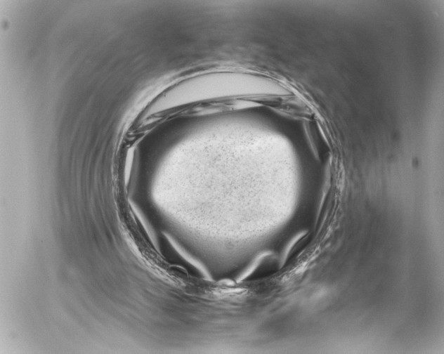 X0000054470055200508191738