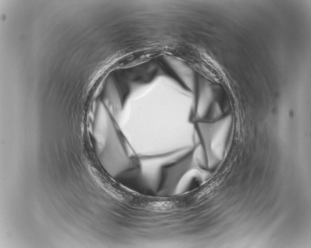 X0000054470059200508191738