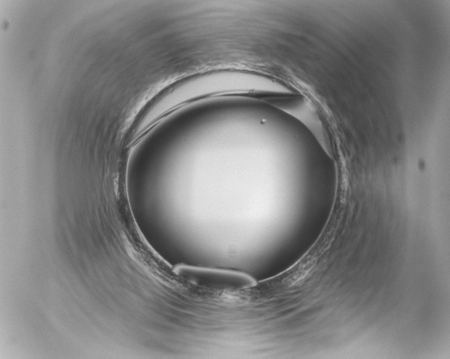 X0000054470060200508191738