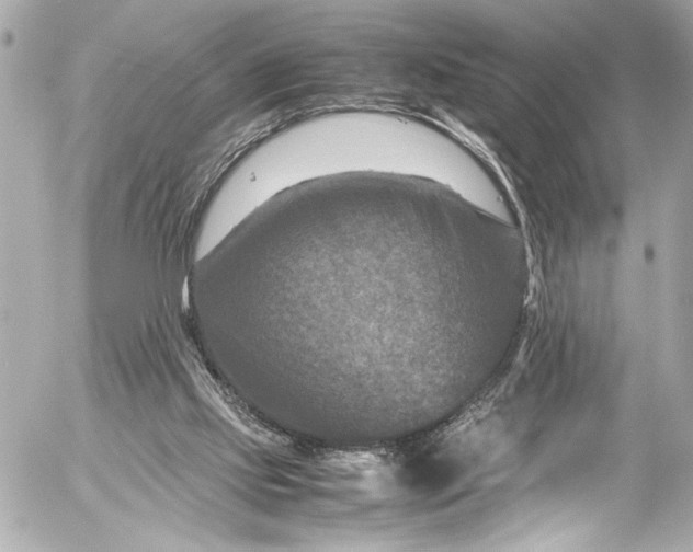 X0000054470061200508191738