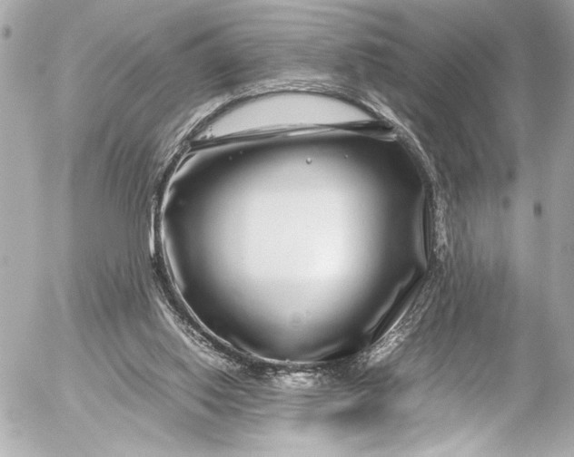 X0000054470062200508191738