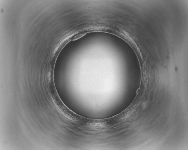 X0000054470063200508191738