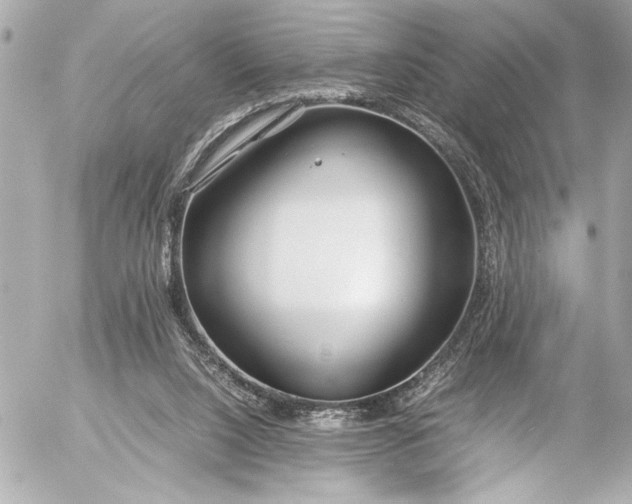 X0000054470064200508191738