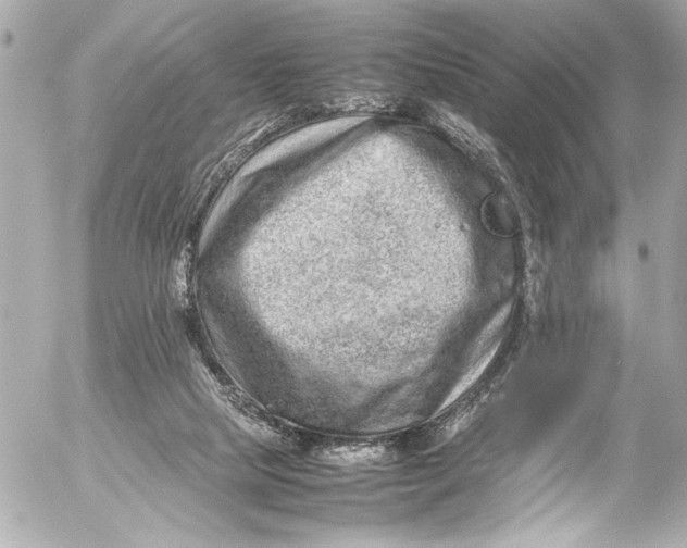 X0000054470065200508191738