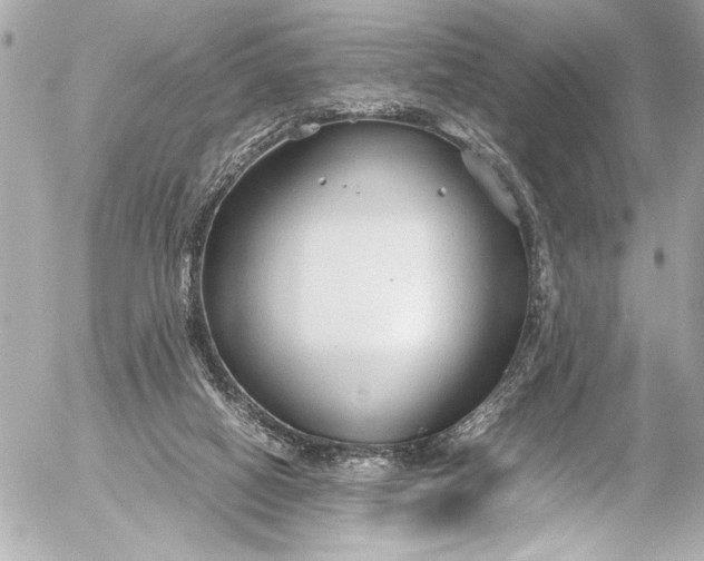 X0000054470066200508191738