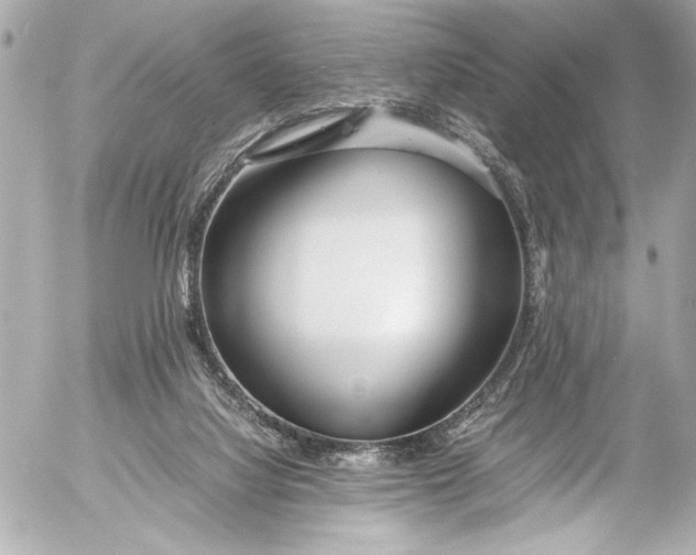 X0000054470068200508191738