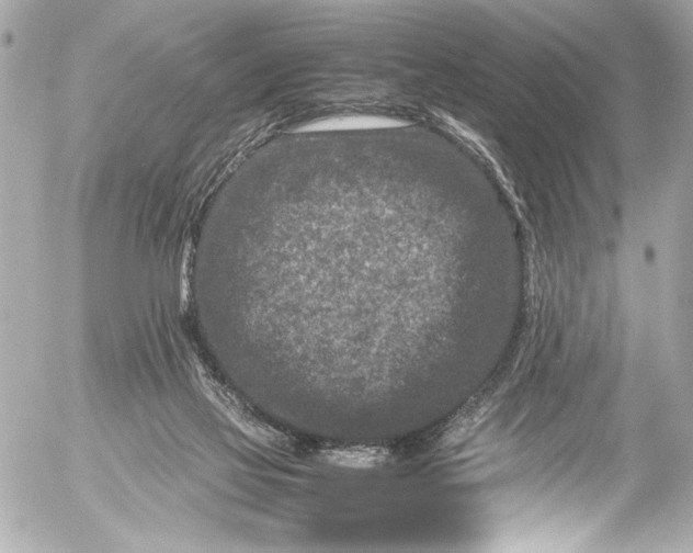 X0000054470069200508191738