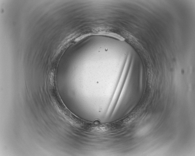 X0000054470071200508191738