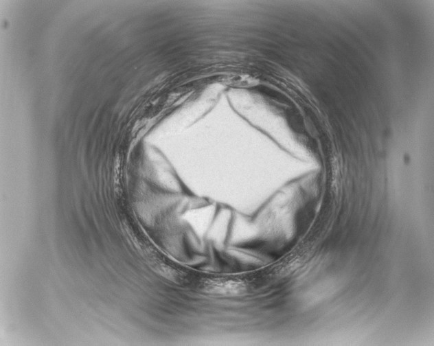 X0000054470073200508191738