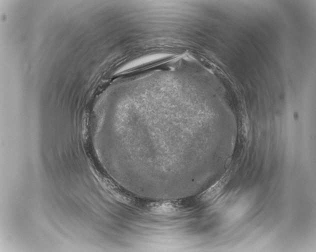 X0000054470074200508191738