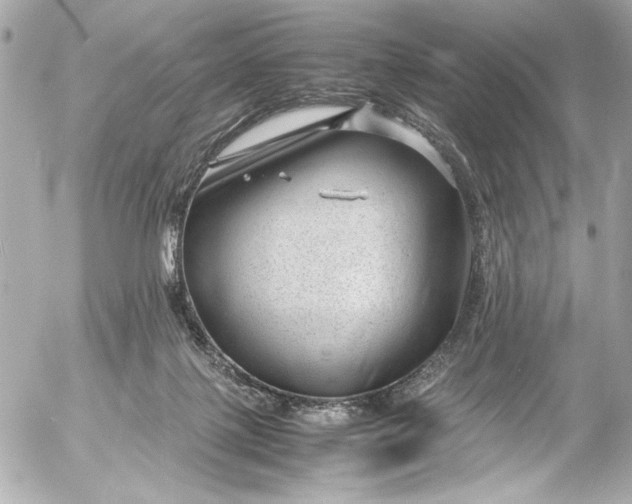 X0000054470075200508191738