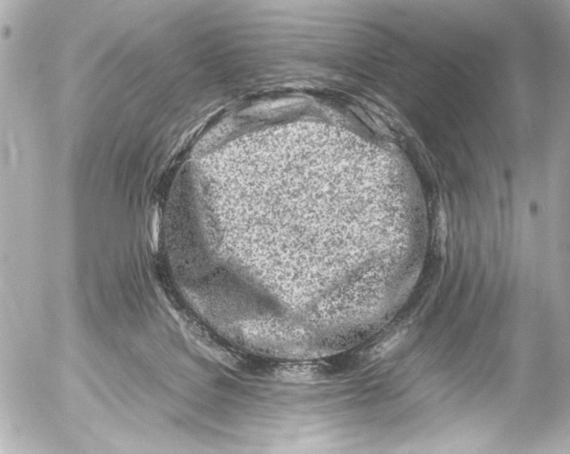 X0000054470076200508191738