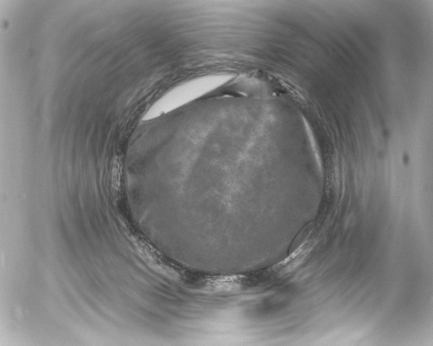 X0000054470078200508191739