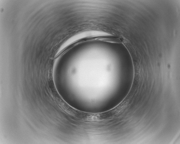 X0000054470080200508191739