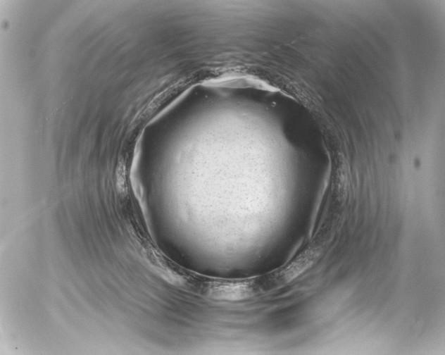 X0000054470081200508191739