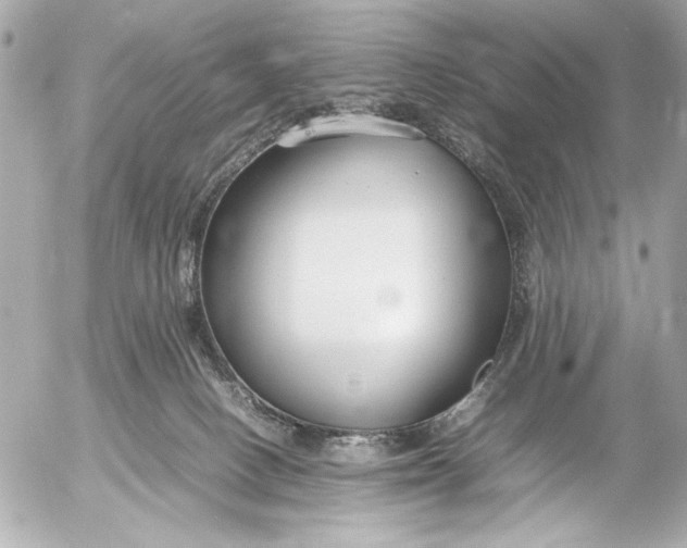 X0000054470082200508191739